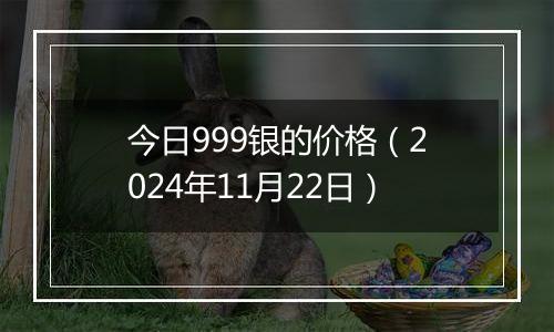 今日999银的价格（2024年11月22日）