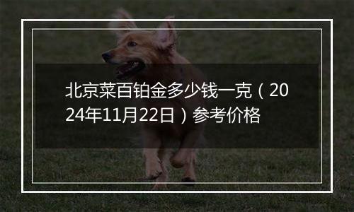 北京菜百铂金多少钱一克（2024年11月22日）参考价格