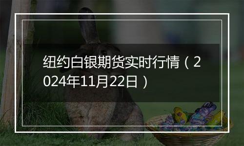 纽约白银期货实时行情（2024年11月22日）