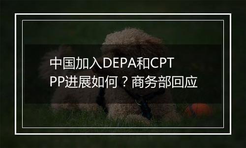 中国加入DEPA和CPTPP进展如何？商务部回应