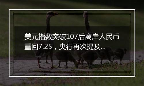 美元指数突破107后离岸人民币重回7.25，央行再次提及汇率弹性，对波动率容忍度或在提升