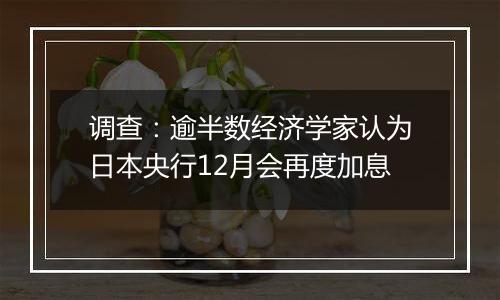 调查：逾半数经济学家认为日本央行12月会再度加息