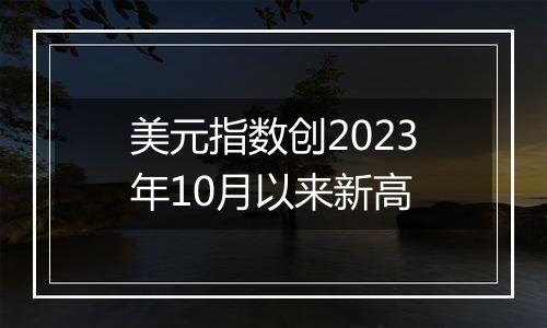 美元指数创2023年10月以来新高