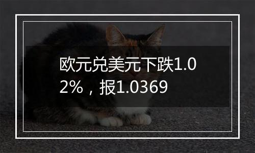 欧元兑美元下跌1.02%，报1.0369