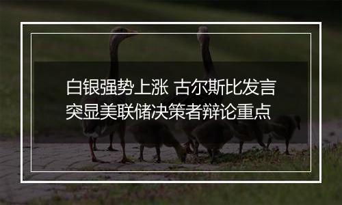 白银强势上涨 古尔斯比发言突显美联储决策者辩论重点