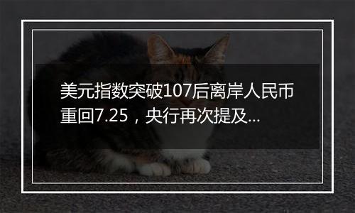 美元指数突破107后离岸人民币重回7.25，央行再次提及汇率弹性