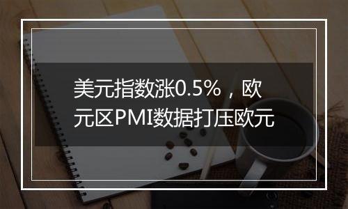 美元指数涨0.5%，欧元区PMI数据打压欧元