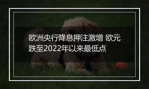 欧洲央行降息押注激增 欧元跌至2022年以来最低点