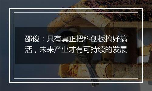 邵俊：只有真正把科创板搞好搞活，未来产业才有可持续的发展