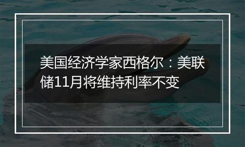 美国经济学家西格尔：美联储11月将维持利率不变