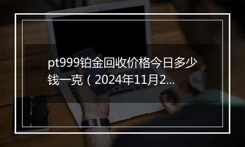 pt999铂金回收价格今日多少钱一克（2024年11月23日）