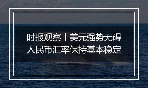 时报观察丨美元强势无碍人民币汇率保持基本稳定