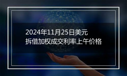 2024年11月25日美元拆借加权成交利率上午价格