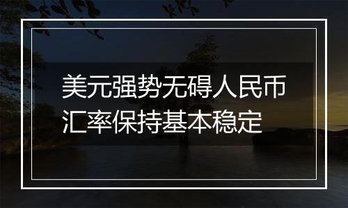 美元强势无碍人民币汇率保持基本稳定