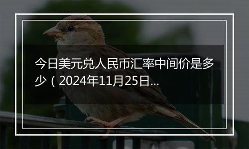 今日美元兑人民币汇率中间价是多少（2024年11月25日）