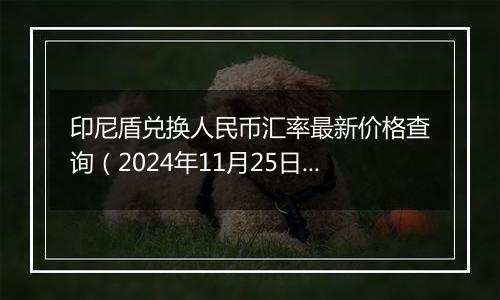 印尼盾兑换人民币汇率最新价格查询（2024年11月25日）