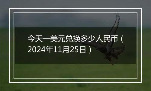 今天一美元兑换多少人民币（2024年11月25日）