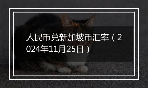 人民币兑新加坡币汇率（2024年11月25日）