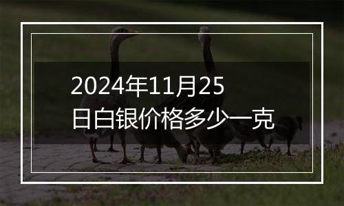 2024年11月25日白银价格多少一克