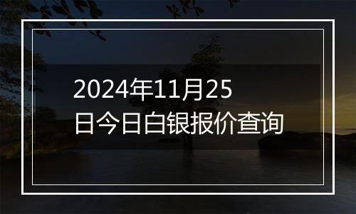 2024年11月25日今日白银报价查询