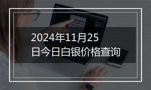 2024年11月25日今日白银价格查询