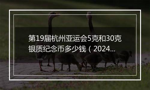 第19届杭州亚运会5克和30克银质纪念币多少钱（2024年11月25日）