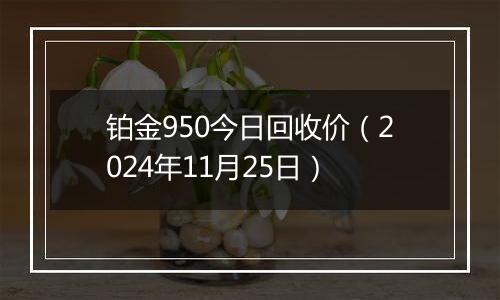 铂金950今日回收价（2024年11月25日）