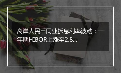 离岸人民币同业拆息利率波动：一年期HIBOR上涨至2.89318%