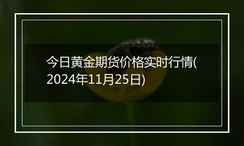 今日黄金期货价格实时行情(2024年11月25日)