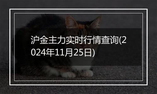 沪金主力实时行情查询(2024年11月25日)