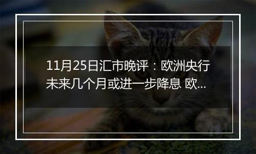 11月25日汇市晚评：欧洲央行未来几个月或进一步降息 欧元/美元在维持在1.0450上方