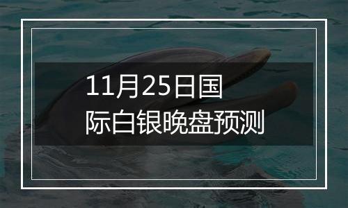 11月25日国际白银晚盘预测