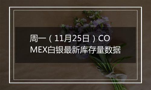 周一（11月25日）COMEX白银最新库存量数据