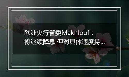 欧洲央行管委Makhlouf：将继续降息 但对具体速度持开放态度