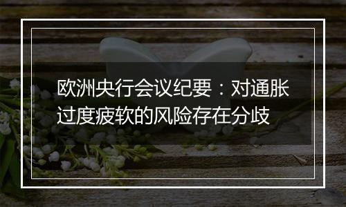 欧洲央行会议纪要：对通胀过度疲软的风险存在分歧