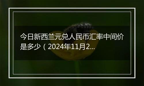 今日新西兰元兑人民币汇率中间价是多少（2024年11月26日）