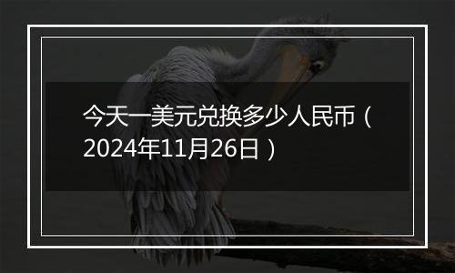 今天一美元兑换多少人民币（2024年11月26日）