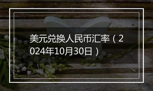 美元兑换人民币汇率（2024年10月30日）