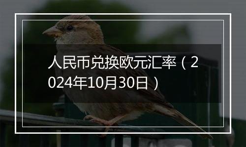 人民币兑换欧元汇率（2024年10月30日）