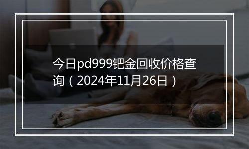 今日pd999钯金回收价格查询（2024年11月26日）