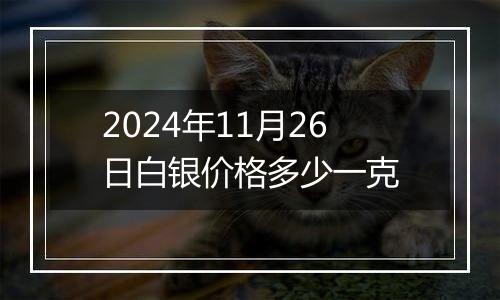 2024年11月26日白银价格多少一克