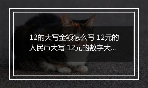 12的大写金额怎么写 12元的人民币大写 12元的数字大写