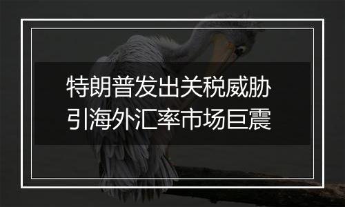 特朗普发出关税威胁 引海外汇率市场巨震