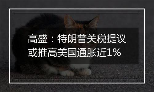 高盛：特朗普关税提议或推高美国通胀近1%