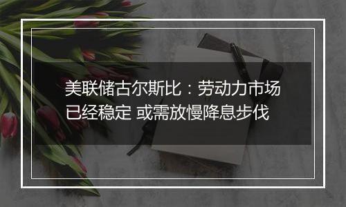 美联储古尔斯比：劳动力市场已经稳定 或需放慢降息步伐