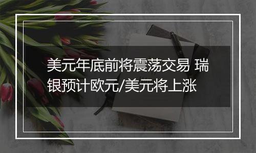 美元年底前将震荡交易 瑞银预计欧元/美元将上涨