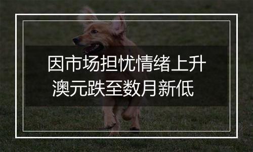 因市场担忧情绪上升 澳元跌至数月新低