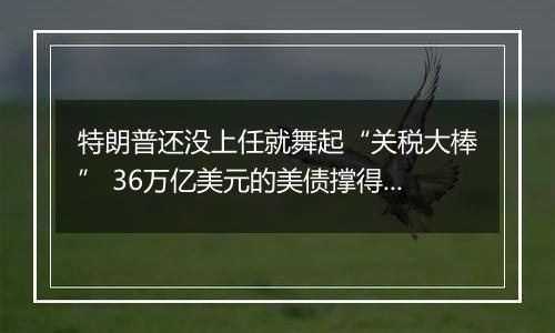 特朗普还没上任就舞起“关税大棒” 36万亿美元的美债撑得住吗？