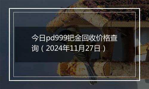 今日pd999钯金回收价格查询（2024年11月27日）