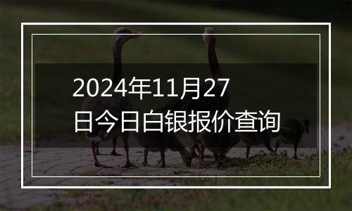 2024年11月27日今日白银报价查询